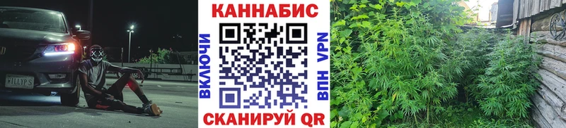 Бошки Шишки план  дарнет шоп  OMG как зайти  Камызяк 